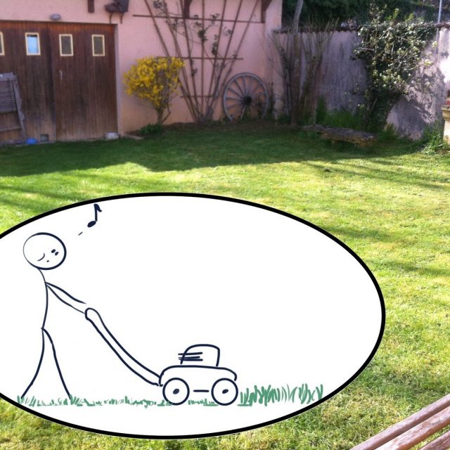 [VIDÉO] L’astuce du mois : broyer ses tailles de haies à la tondeuse !