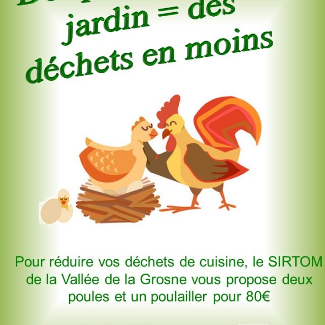 2 poules et un poulailler !