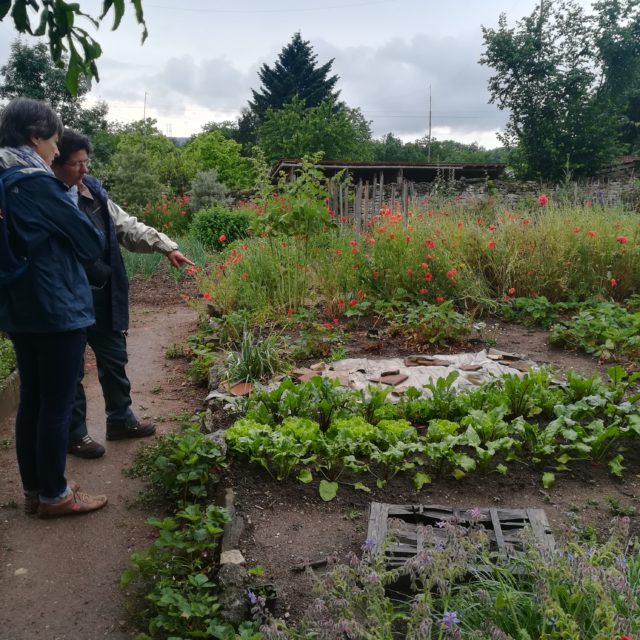 Retour sur la formation guide composteur – 15/06/2019 à SALORNAY